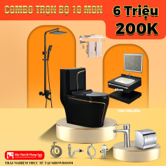 Trọn Bộ Thiết Bị Vệ Sinh Nhà Tắm 10 Món Nóng Lạnh CODOR - CB25